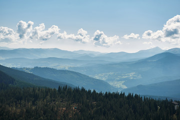 Naklejka na ściany i meble Amazing landscape of beautiful green Carpathian hills covered with deep forest