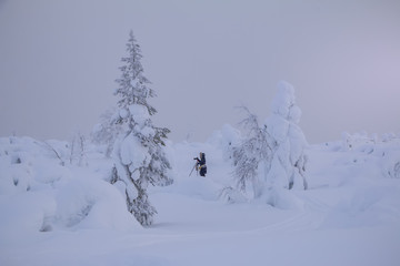Woman Photographer Shoots a Winter Landscape