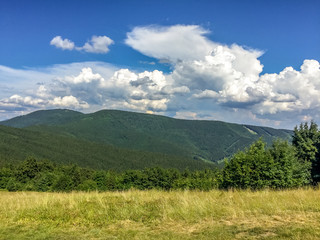 Amazing landscape with trees and big clouds