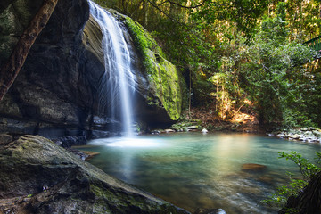 Fototapeta na wymiar Serenity Falls at Buderim Rainforest Park