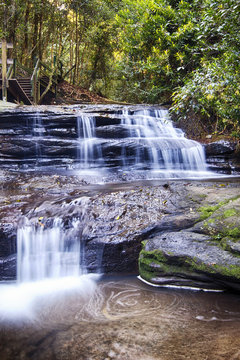 Serenity Falls at Buderim Rainforest Park