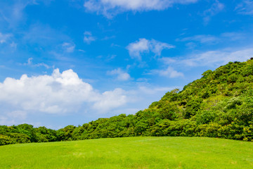沖縄石垣島　草原と青空