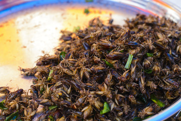 Fried grasshoppers sold at street markets in Bangkok