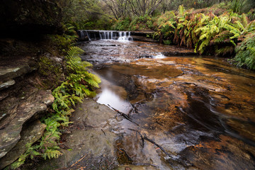 wentworth falls