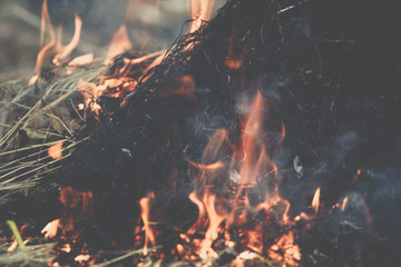 Fire burning dry grass it danger for environment