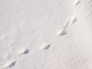 Shadows and patterns on the surface  of snow