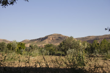 Paisaje aragonés