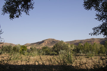 Paisaje aragonés