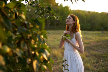 woman picks apples in the garden