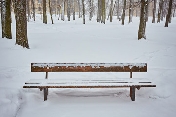 Benches in the winter city park. Filled up with snow.