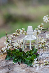 Spa and wellness setting with sea salt, oil essence, flowers and towels on wooden background. Relax and treatment therapy.
