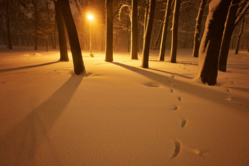 Winter alley in park and shining lanterns.