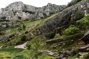Cheddar Gorge, Somerset, England