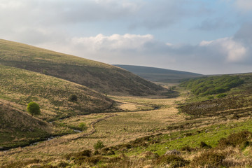 british moorland Dartmoor
