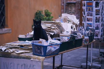 Katze in Venedig