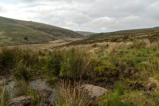 british moorland Dartmoor