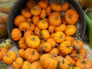 Halloween festivity pumpkin
