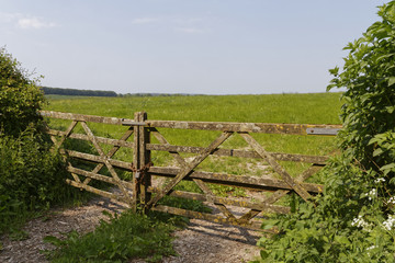 Fototapeta na wymiar gate to british farmland