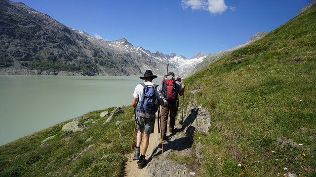 Oberaarsee 0818, Grimsel, Oberaargletscher, Alpine Flora und Fauna