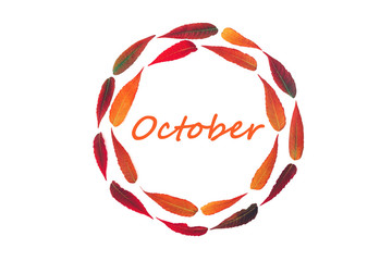 round frame of bright autumn leaves isolated on white background with inscription October, top view flat lay