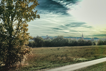 Road bike Mannheim Meadow river neckar outdoor sport neckar