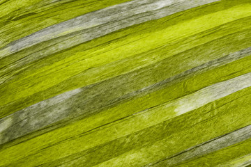 Colorful striped background