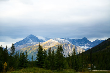 秋のカナディアンロッキー　クートニー国立公園の黄葉の山並み（カナダ　ブリティッシュ・コロンビア州）