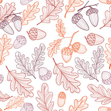 Seamless pattern of oak leaves and acorns. Autumn line drawing. Vector