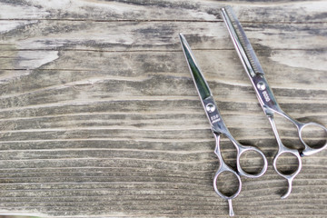 ハサミ　美容師