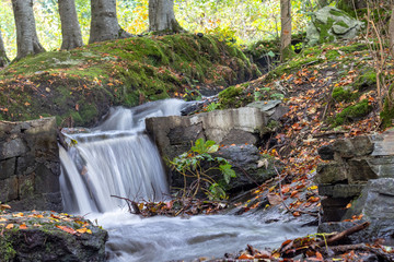 waterfall in the forest