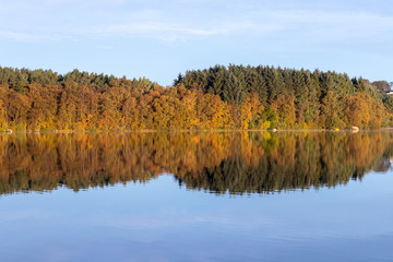 lake in autumn forest