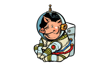 Pig astronaut character. Chinese new year of the pig