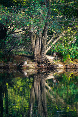 Insel Reflektion