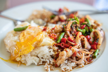 Rice topped with stir-fried  squid and basil