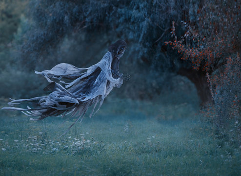 dementor flies through the air with waving mantle into the forest above the lawn with emerald frozen grass covered with hoarfrost. Harry Potter. Dentor as a decoration for halloween. art photo.