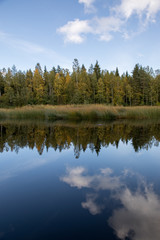 Fototapeta na wymiar 北欧の風景川に映る木