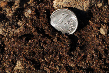 One ruble on the ground. Coin.