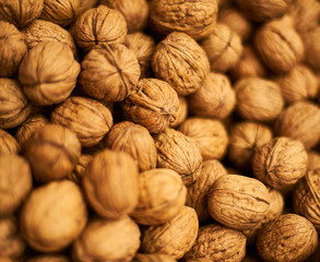 walnuts close up