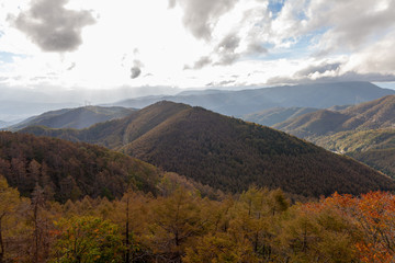  戦場ヶ原　長野　山梨　北海道　美瑛　高山　新潟　美しい　日本　男女　徒歩