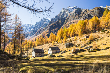 Devero Lake in Alpe Devero natural park in the Lepontine Alps, Verbania (Italy)