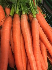 bunch of fresh carrots