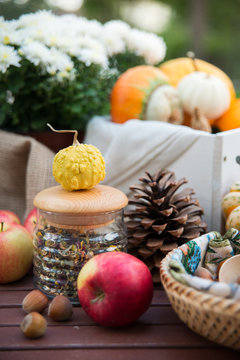 Decoration for halloween with pumpkins, nuts and flowers on the table in autumn