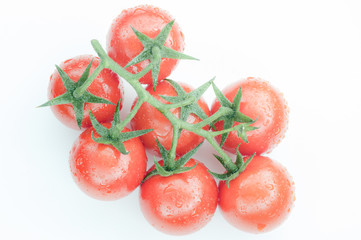 鈴なりのミニトマト