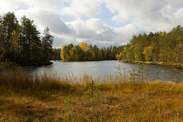 Lake in autumn forest