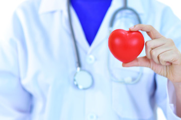 Cardiologist holding heart in hand, heart care concept