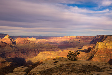 Obraz na płótnie Canvas Scenic sunset at the Grand Canyon
