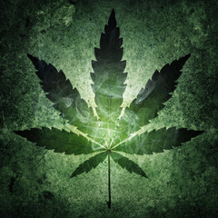 Cannabis on grunge background. Retro style. Concept on the topic of legalization of marijuana.