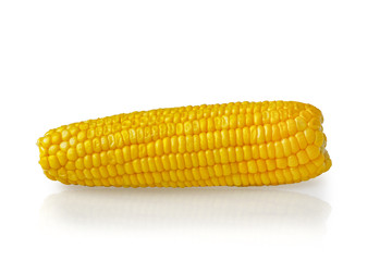 sweet corn isolated on white background