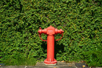 Fototapeta premium red fire hydrant