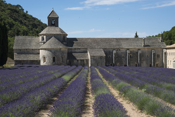 Kloster mit Lavendelfeld